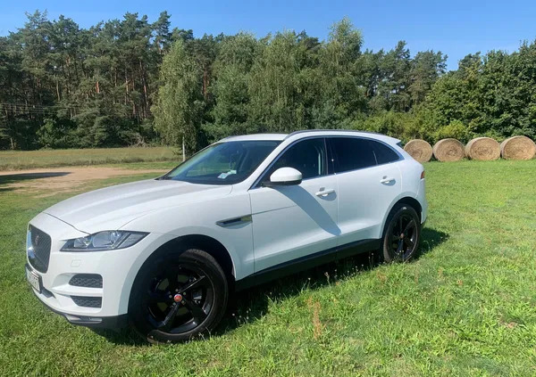 jaguar świnoujście Jaguar F-Pace cena 120000 przebieg: 71000, rok produkcji 2018 z Świnoujście